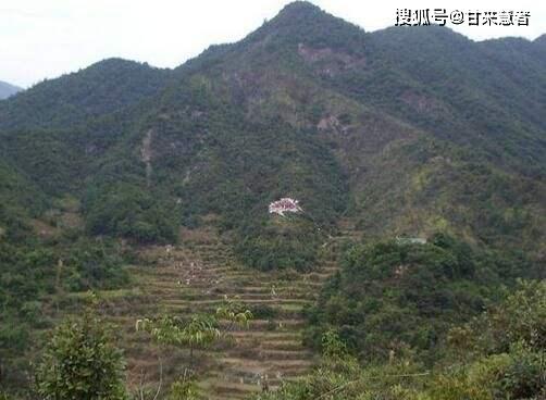 植被配置与环境和谐