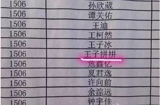第二较大要点：注意名字的发音和含义