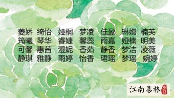 惯与“蕾”字的那些事儿