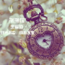 八字壬辰癸巳，壬辰癸巳甲午，这是什么命理组合？