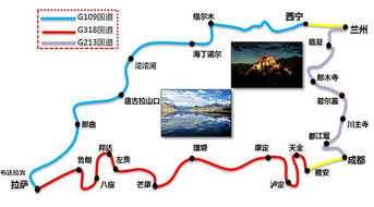 自驾返程：自由与挑战并存