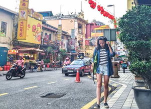 1.2 与其他华人聚居区的类比