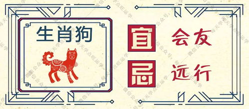 望字对应的生肖是哪个？探头而望谨防有诈打一生肖是什么生肖的意思是什么？