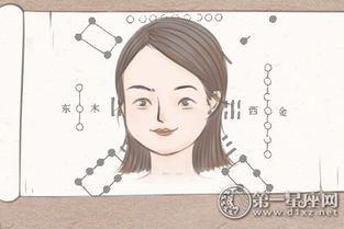 额头开朗—先天聪慧与后续影响交织（中停概念）