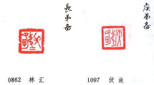 第一章：象形与会意——具象思维与整体观的构建