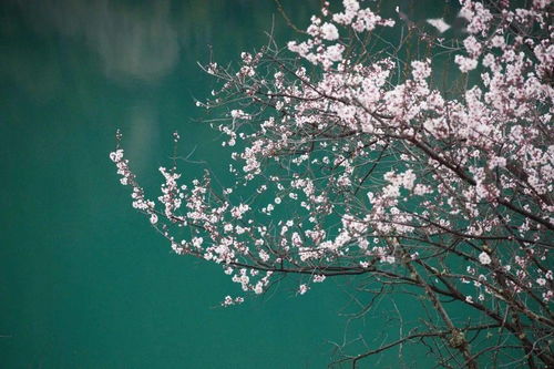 一、 历代文献中惯与立春时序的气候预示