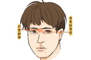 职业选择与印堂相理