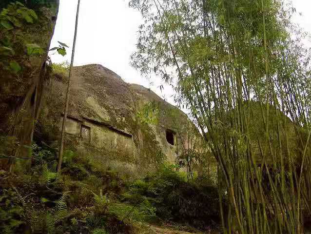 5.3 大树遮挡对采光通风的不利影响