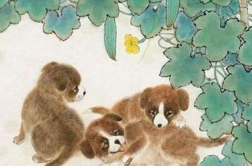 2026年属狗男性最强招财物件是什么？