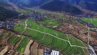 3. 吃什么？别指望有美食， 只嫩靠泡面和野草了