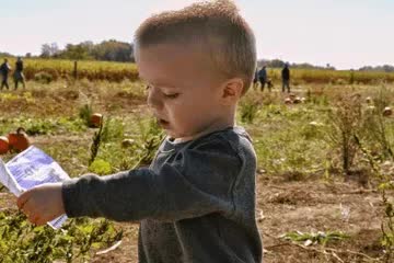 别具一格的小名叫啥？