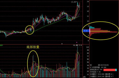风水掌法的基本特征与应用价值