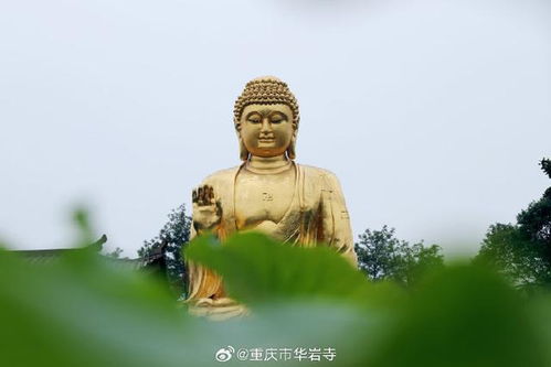 社交媒体的影响与传播