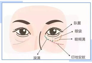 2．生肖特定面部线条倾向