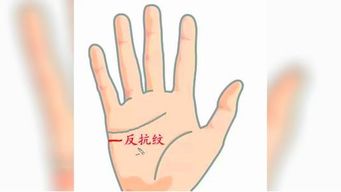 2.1 行为与心态对命运指引的影响