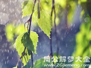 绪论：梦境研究的时代背景与方法论概述