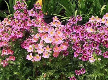 一、  偏财概念的学理界定及其本质属性