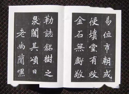 三、  生肖适配与冲煞化解：个体命运与宇宙节律的共振