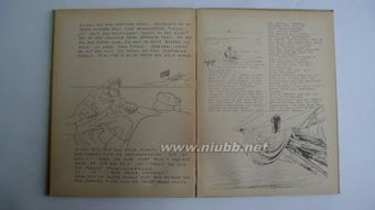 案例分析：从文本到平台——《天地有节》的二次创作链条