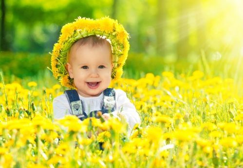 先说说鸡年的五行八字那些事儿