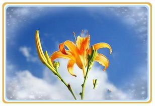 庚申日对应的生肖是什么？庚申日最适宜的三个属相是哪几个？