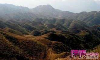 南通风水先生祖坟通常影响几代人的运势？