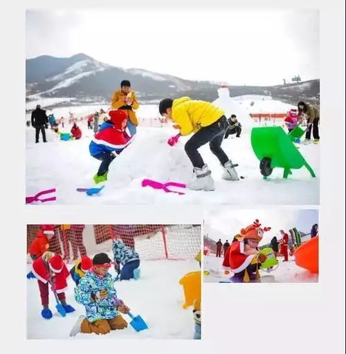 吐血整理！2026年最新羊毛攻略！不薅白不薅！