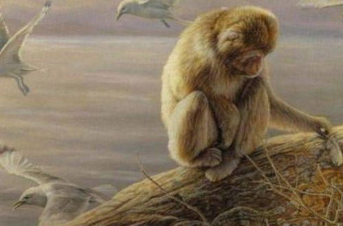 一飞冲天打一动物，是什么？