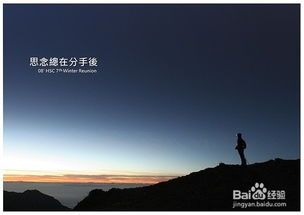 情感冲突与转折点