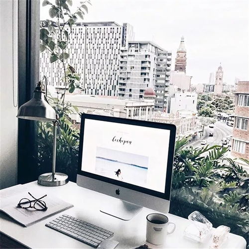 一、 专注度受损：外部干扰与注意力分散