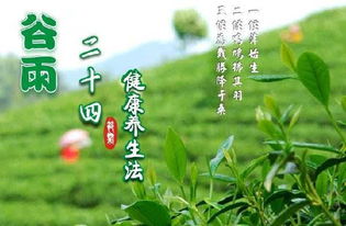 2.1 农耕生产的绝对优先性