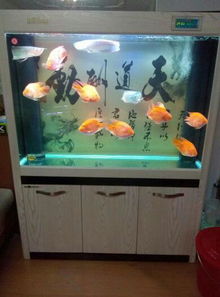 1. 鱼缸与炉灶的避忌原则