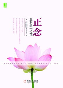 紫微天府是什么鬼？