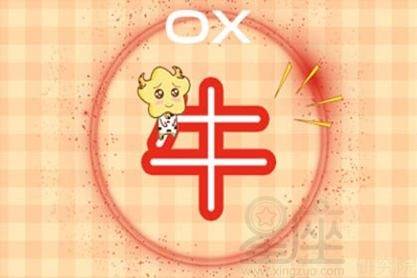 2026年属牛天蝎座全年财运运势具体如何？