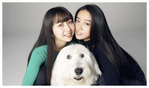 工藤静香八字运势如何？八字四柱分析结果是什么？