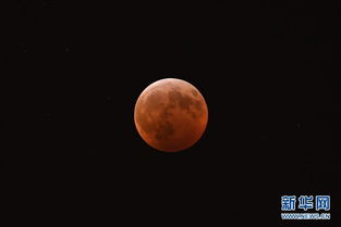 (六) 现代社会的网络舆论生态观察