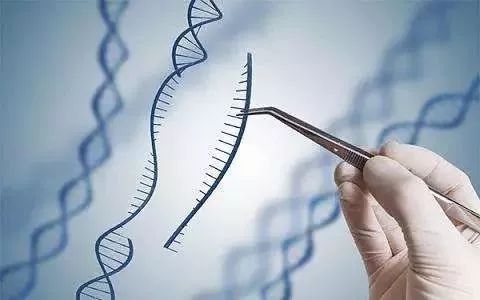 ：传统文化视域下的命运重塑与生命延续