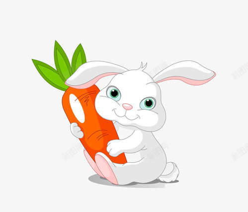 案例叙事之一：恐慌初现与初步抗争