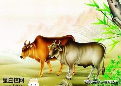 牛与十二生肖的婚姻匹配度如何？哪个生肖与牛最相配？