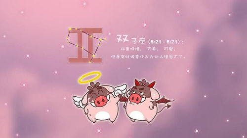 情感表达及人际关系模式