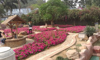 1. 网络平台？呵呵…