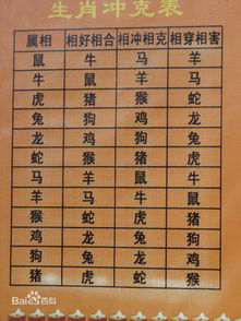 2026年属猴全年运势及每月运势具体如何？