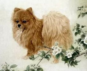 低眉顺眼是哪个生肖动物？