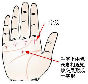 免费手相看信仰位置有何目的？