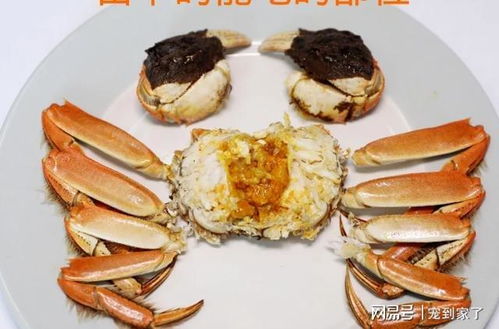 新鲜度判别方法概述