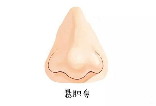 宽大丰满的鼻子：财富积累的象征