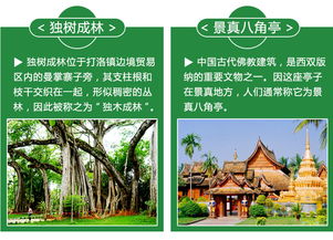跟团游 vs 自主行：谁更划算？