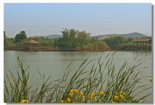 景色也就那样吧……滤镜太重