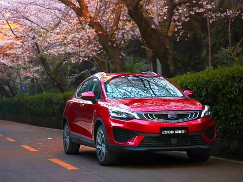 为什么要在这个日子生孩子？聊聊2025年7月20日的奥秘