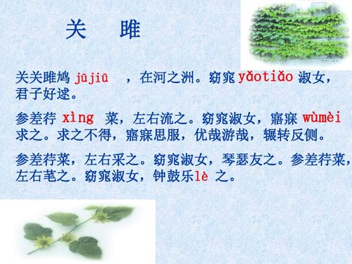 新编400首诗歌下载，有哪些好名字可以取？